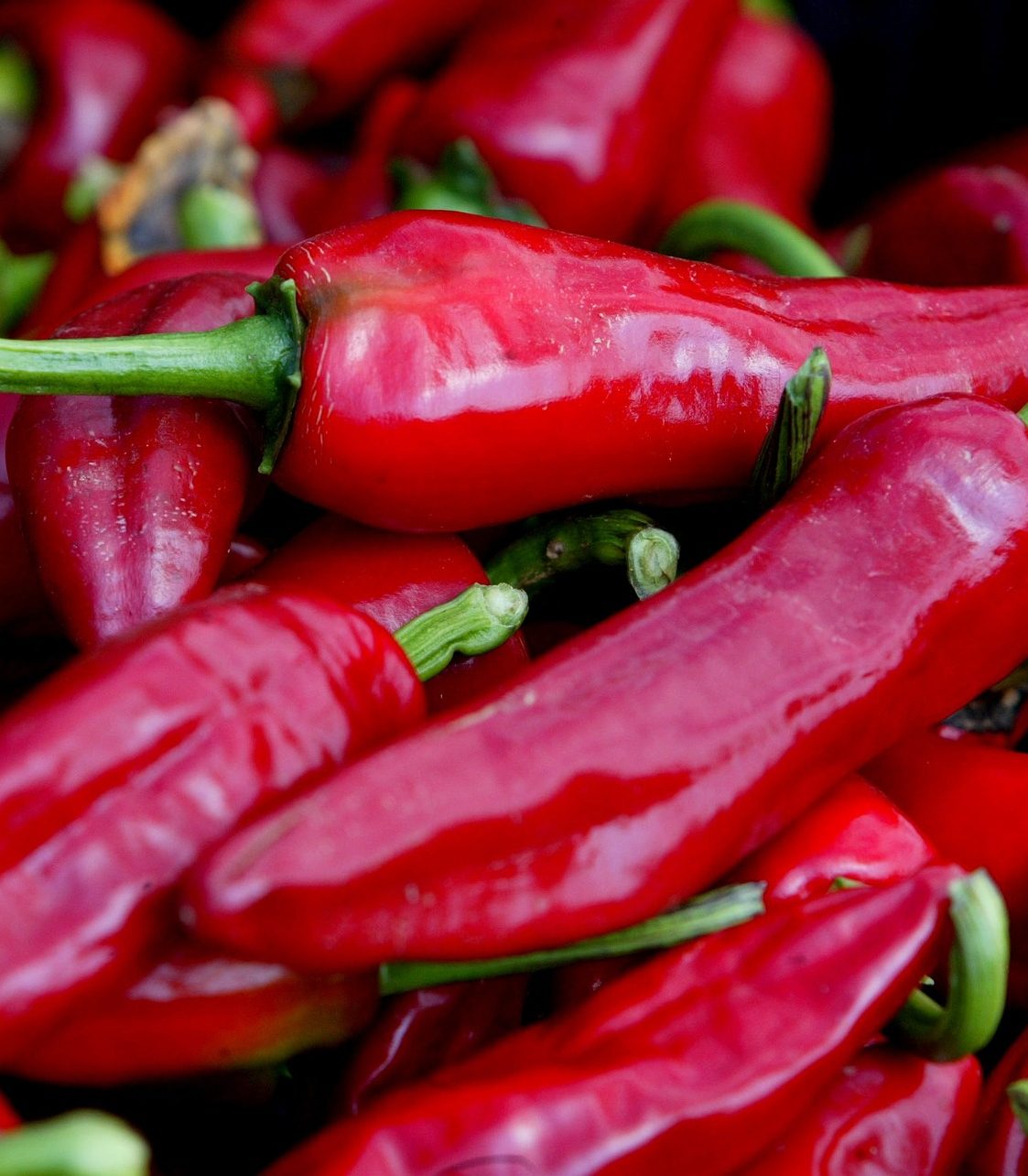 cropped-chili-pepper-1429383_1920-1.jpg